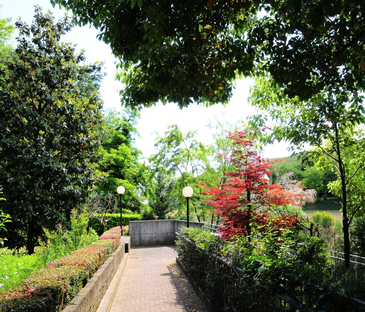 RSA Casa Famiglia Solferino (14)